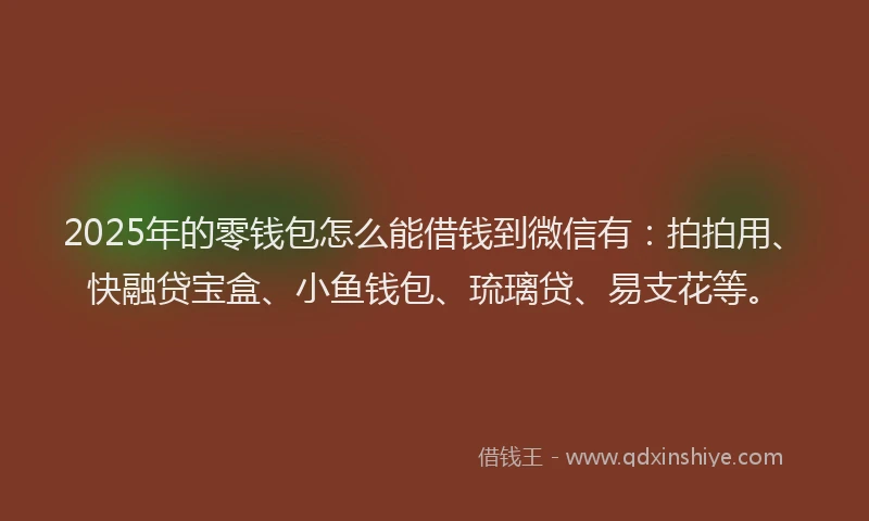 2025年的零钱包怎么能借钱到微信有：拍拍用、快融贷宝盒、小鱼钱包、琉璃贷、易支花等。