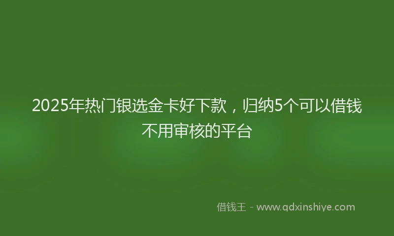 2025年热门银选金卡好下款，归纳5个可以借钱不用审核的平台