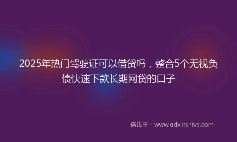 2025年热门驾驶证可以借贷吗，整合5个无视负债快速下款长期网贷的口子
