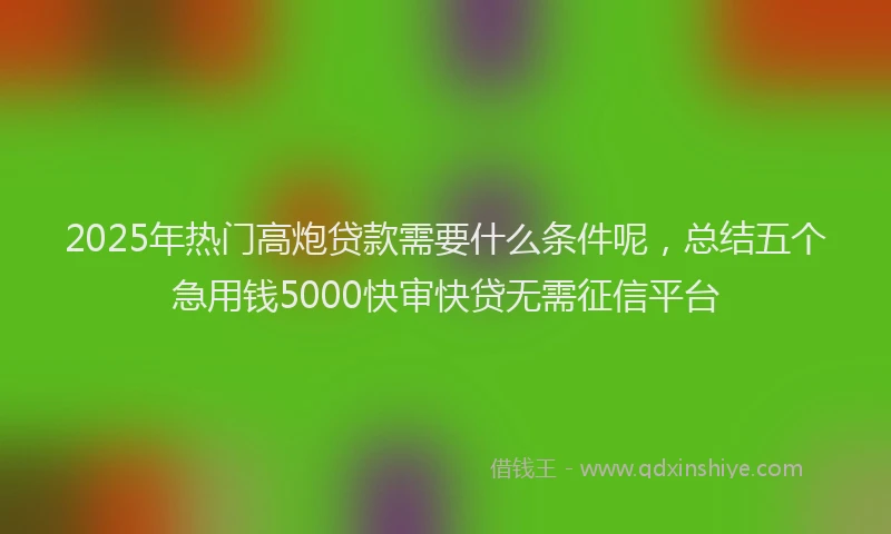 2025年热门高炮贷款需要什么条件呢，总结五个急用钱5000快审快贷无需征信平台