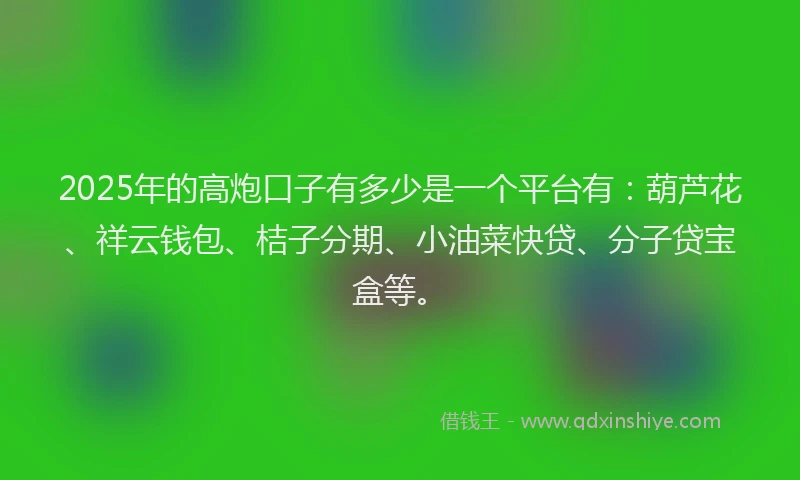 2025年的高炮口子有多少是一个平台有：葫芦花、祥云钱包、桔子分期、小油菜快贷、分子贷宝盒等。