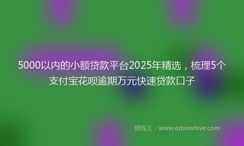 5000以内的小额贷款平台2025年精选，梳理5个支付宝花呗逾期万元快速贷款口子