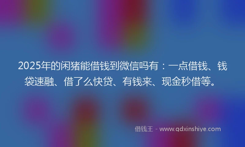2025年的闲猪能借钱到微信吗有：一点借钱、钱袋速融、借了么快贷、有钱来、现金秒借等。