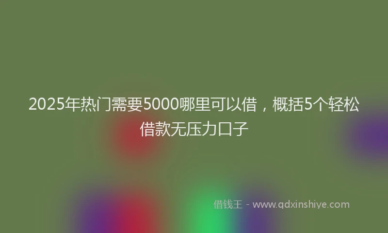 2025年热门需要5000哪里可以借，概括5个轻松借款无压力口子