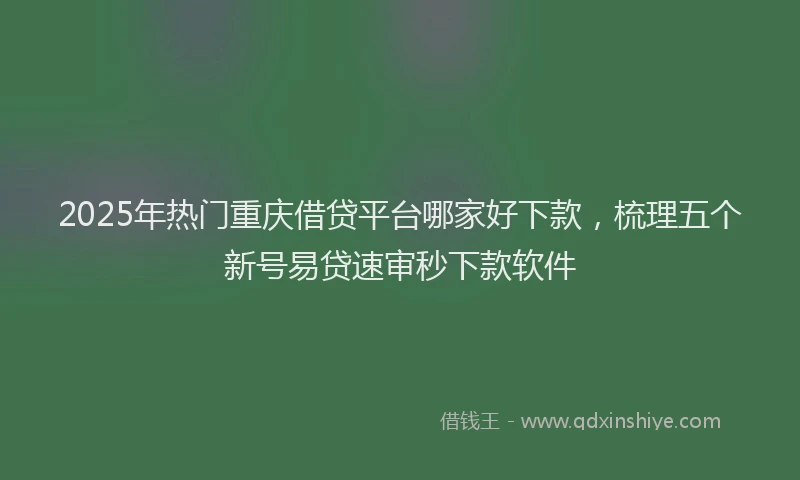 2025年热门重庆借贷平台哪家好下款，梳理五个新号易贷速审秒下款软件