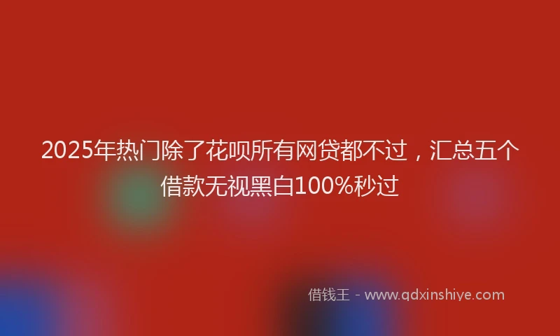 2025年热门除了花呗所有网贷都不过，汇总五个借款无视黑白100%秒过