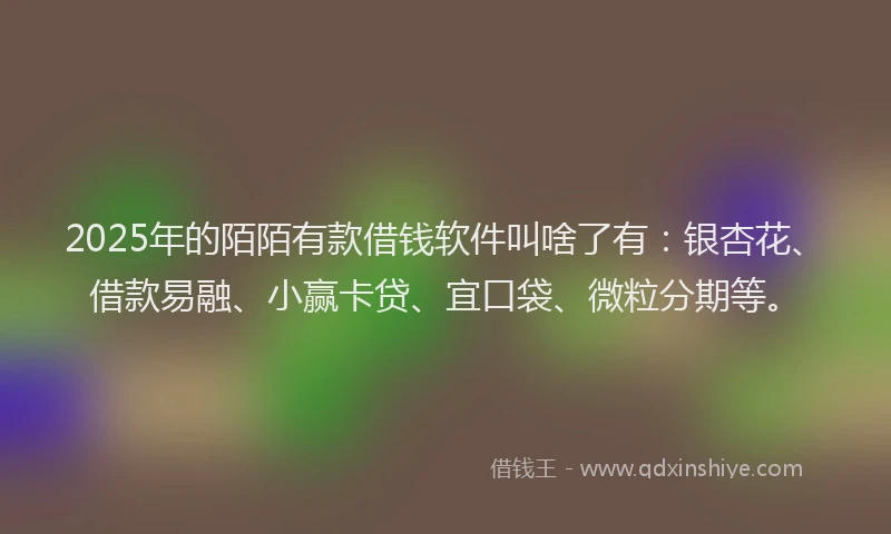 2025年的陌陌有款借钱软件叫啥了有：银杏花、借款易融、小赢卡贷、宜口袋、微粒分期等。
