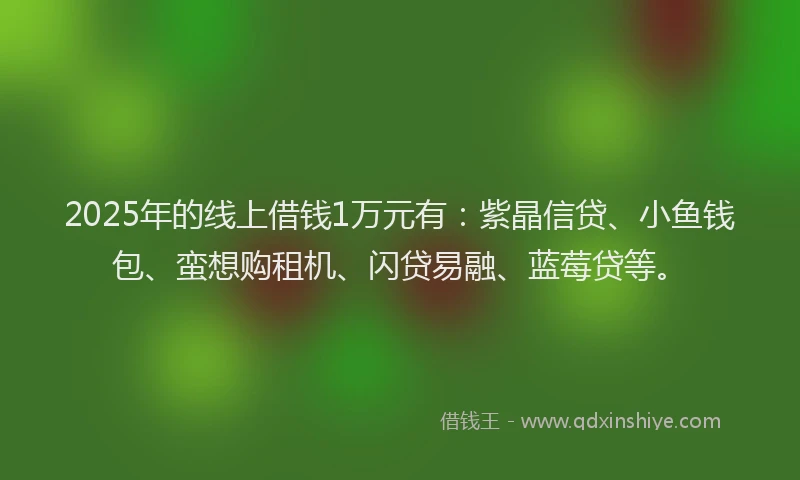 2025年的线上借钱1万元有：紫晶信贷、小鱼钱包、蛮想购租机、闪贷易融、蓝莓贷等。