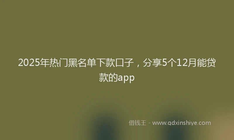 2025年热门黑名单下款口子，分享5个12月能贷款的app