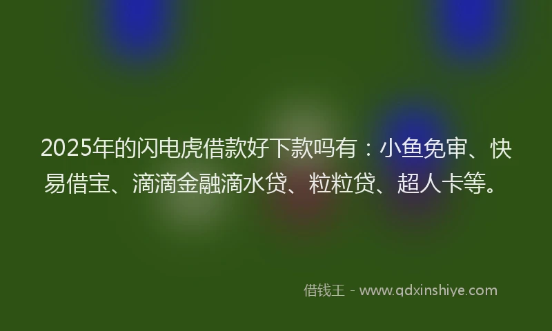 2025年的闪电虎借款好下款吗有:小鱼免审、快易借宝、滴滴金融滴水贷、粒粒贷、超人卡等。