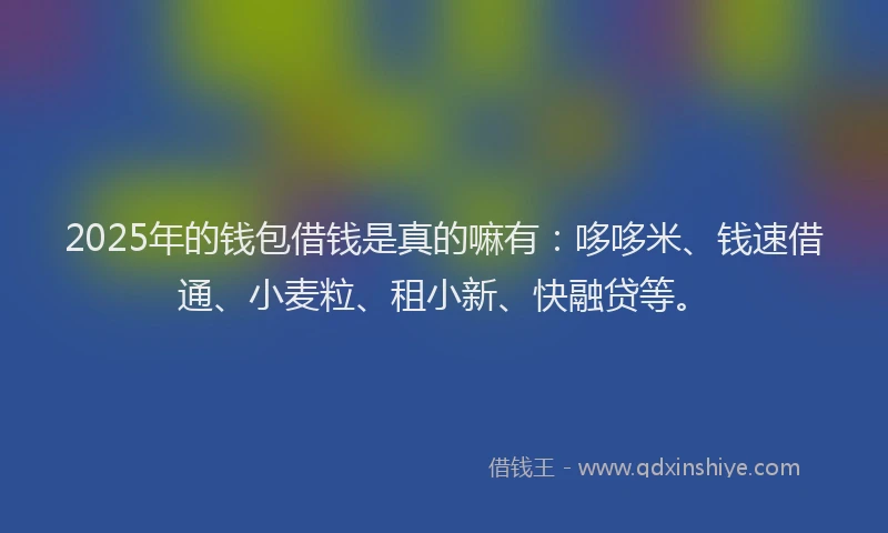 2025年的钱包借钱是真的嘛有：哆哆米、钱速借通、小麦粒、租小新、快融贷等。