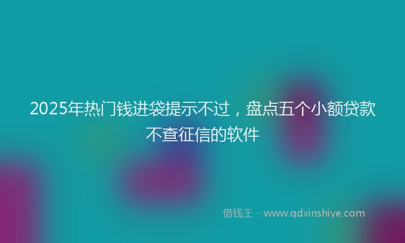 2025年热门钱进袋提示不过,盘点五个小额贷款不查征信的软件