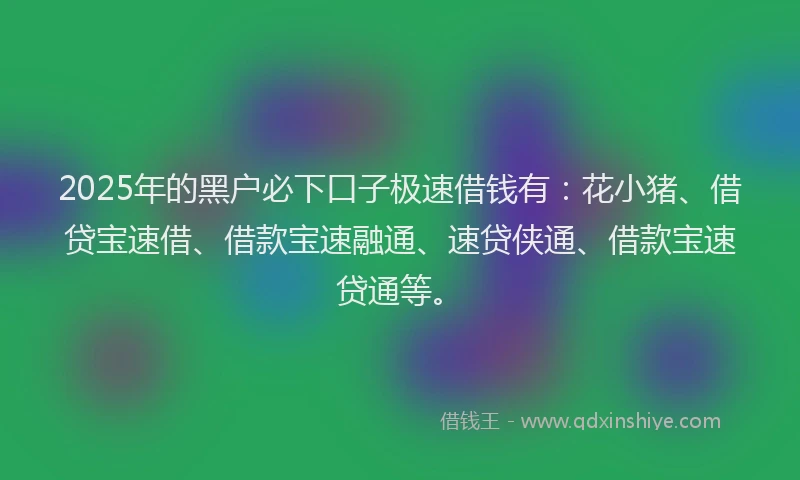 2025年的黑户必下口子极速借钱有：花小猪、借贷宝速借、借款宝速融通、速贷侠通、借款宝速贷通等。