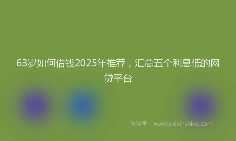 63岁如何借钱2025年推荐，汇总五个利息低的网贷平台