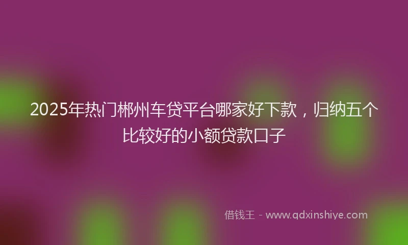 2025年热门郴州车贷平台哪家好下款，归纳五个比较好的小额贷款口子