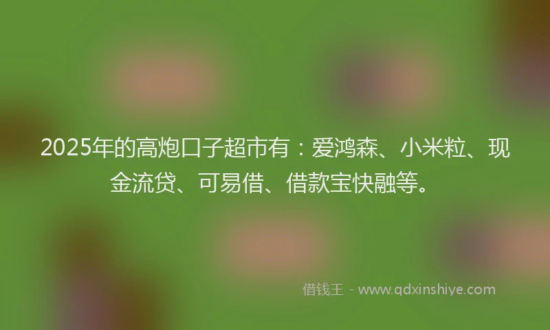 2025年的高炮口子超市有：爱鸿森、小米粒、现金流贷、可易借、借款宝快融等。