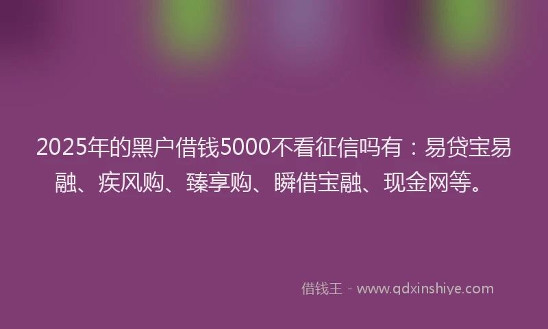 2025年的黑户借钱5000不看征信吗有：易贷宝易融、疾风购、臻享购、瞬借宝融、现金网等。
