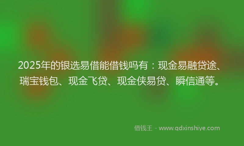 2025年的银选易借能借钱吗有:现金易融贷途、瑞宝钱包、现金飞贷、现金侠易贷、瞬信通等。