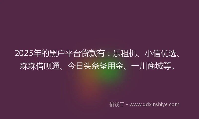 2025年的黑户平台贷款有：乐租机、小信优选、森森借呗通、今日头条备用金、一川商城等。