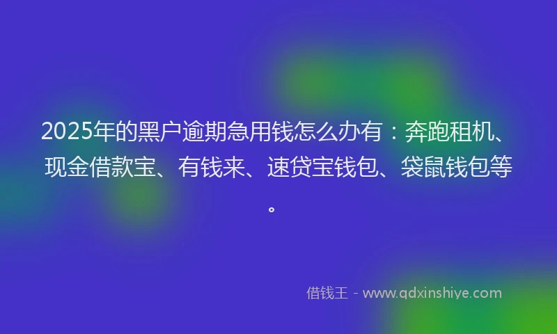 2025年的黑户逾期急用钱怎么办有：奔跑租机、现金借款宝、有钱来、速贷宝钱包、袋鼠钱包等。
