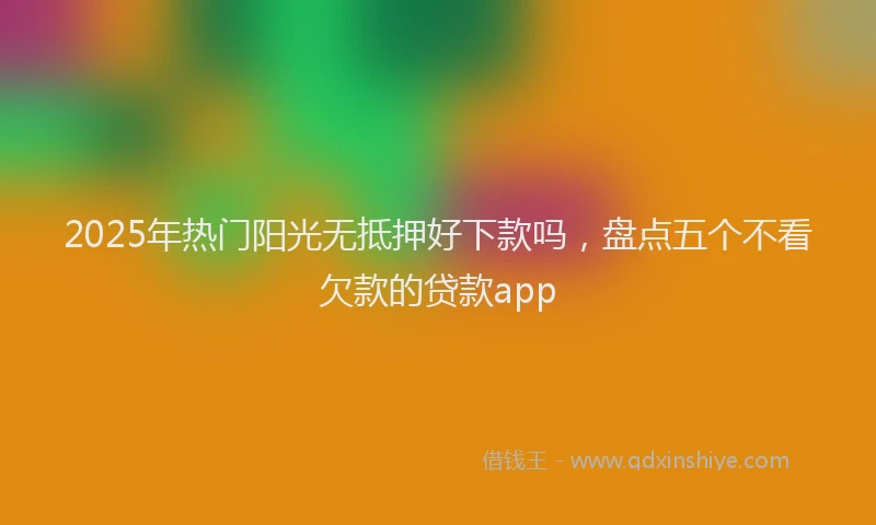 2025年热门阳光无抵押好下款吗，盘点五个不看欠款的贷款app