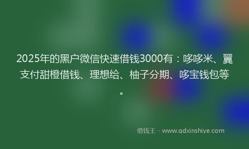 2025年的黑户微信快速借钱3000有：哆哆米、翼支付甜橙借钱、理想给、柚子分期、哆宝钱包等。
