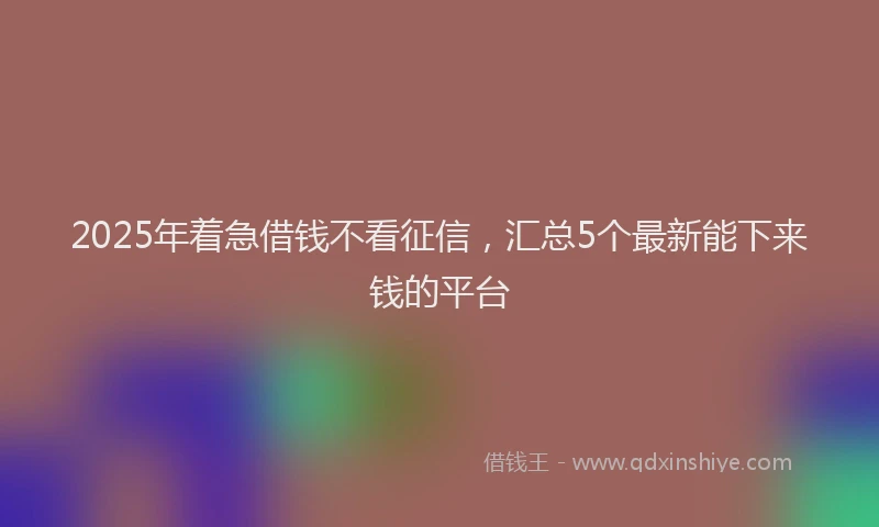 2025年着急借钱不看征信，汇总5个最新能下来钱的平台