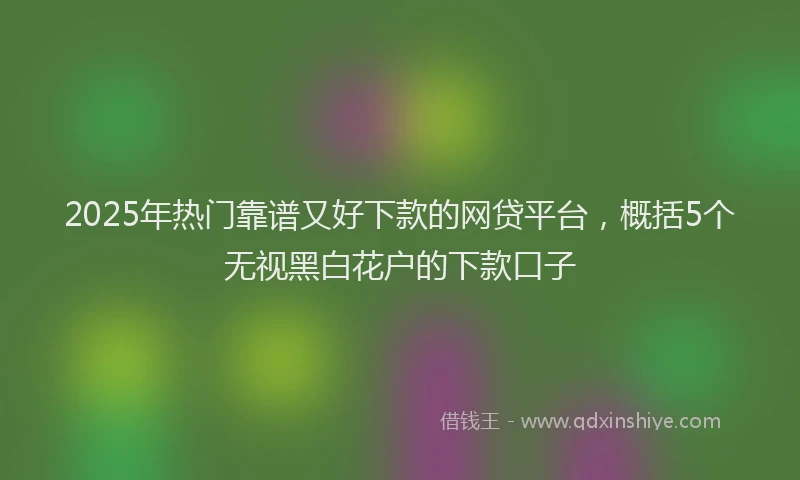 2025年热门靠谱又好下款的网贷平台，概括5个无视黑白花户的下款口子