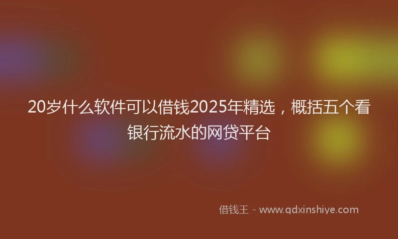 20岁什么软件可以借钱2025年精选，概括五个看银行流水的网贷平台