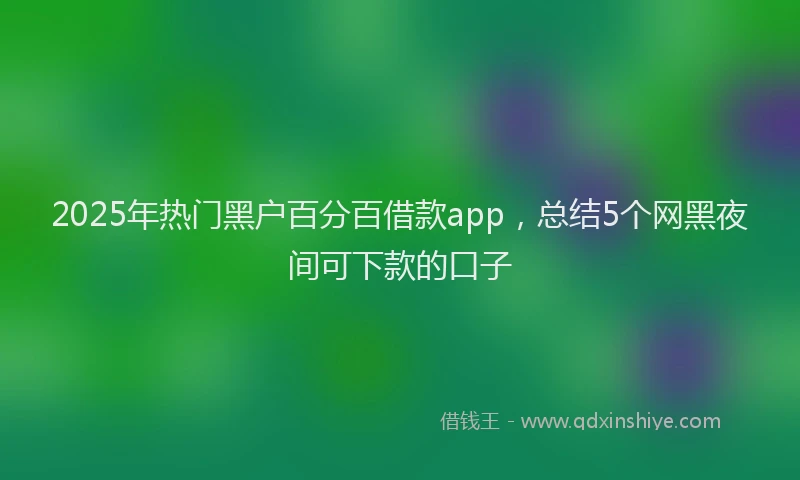 2025年热门黑户百分百借款app，总结5个网黑夜间可下款的口子