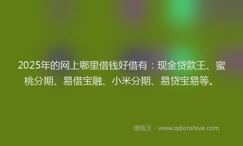 2025年的网上哪里借钱好借有：现金贷款王、蜜桃分期、易借宝融、小米分期、易贷宝易等。
