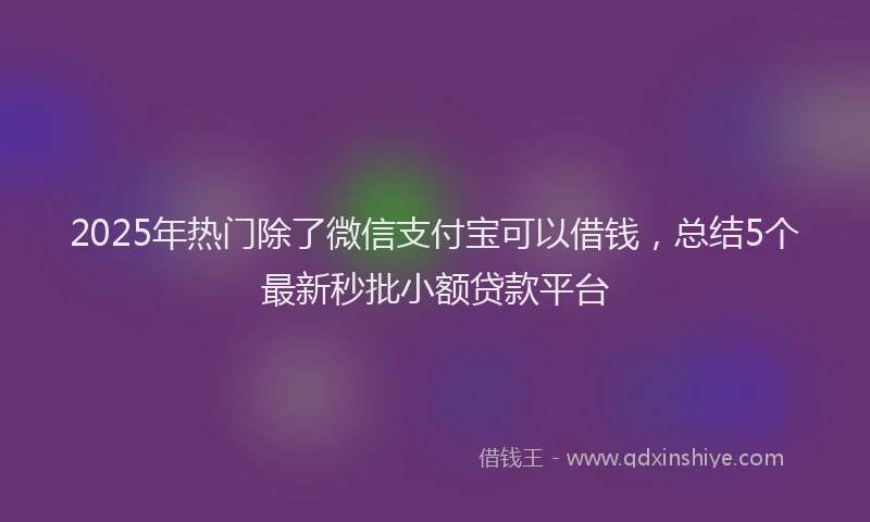 2025年热门除了微信支付宝可以借钱，总结5个最新秒批小额贷款平台