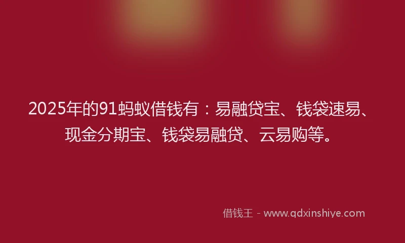 2025年的91蚂蚁借钱有：易融贷宝、钱袋速易、现金分期宝、钱袋易融贷、云易购等。