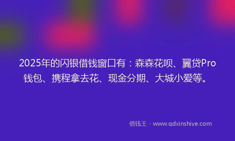 2025年的闪银借钱窗口有：森森花呗、翼贷Pro钱包、携程拿去花、现金分期、大城小爱等。