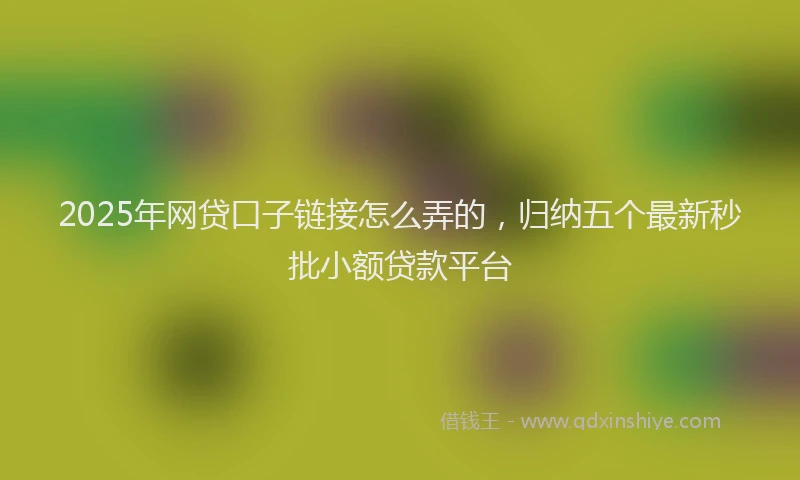 2025年网贷口子链接怎么弄的，归纳五个最新秒批小额贷款平台