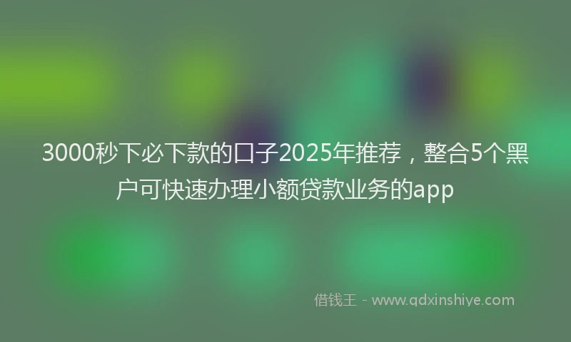 3000秒下必下款的口子2025年推荐，整合5个黑户可快速办理小额贷款业务的app