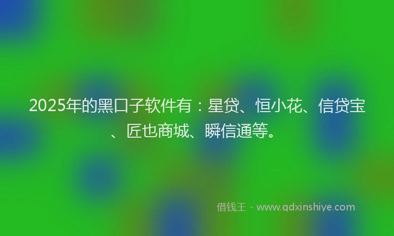 2025年的黑口子软件有：星贷、恒小花、信贷宝、匠也商城、瞬信通等。