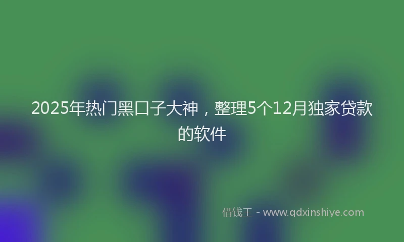 2025年热门黑口子大神，整理5个12月独家贷款的软件