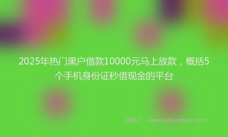 2025年热门黑户借款10000元马上放款，概括5个手机身份证秒借现金的平台