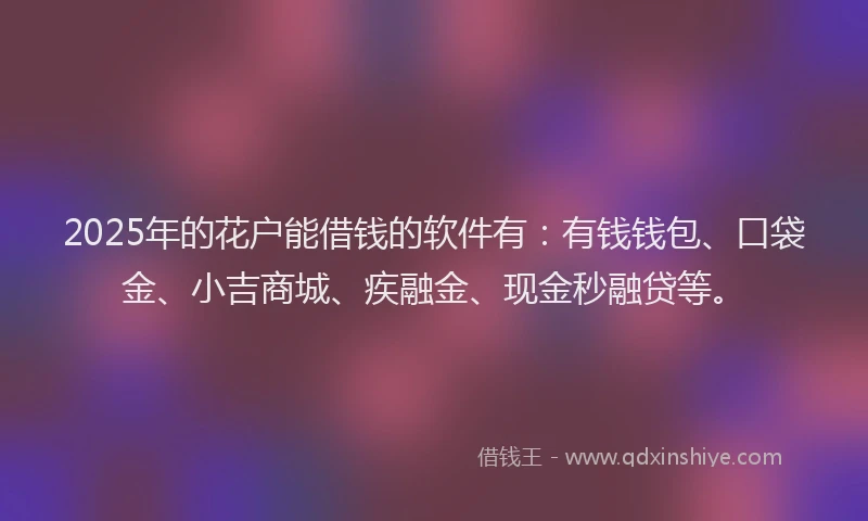 2025年的花户能借钱的软件有：有钱钱包、口袋金、小吉商城、疾融金、现金秒融贷等。