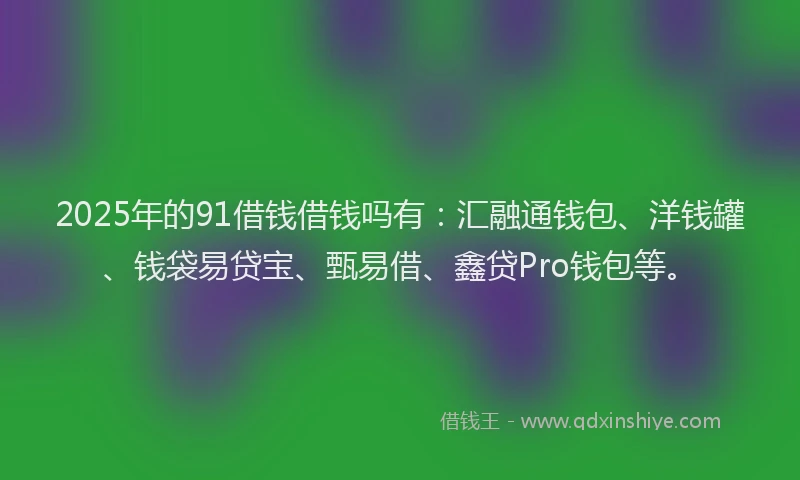 2025年的91借钱借钱吗有：汇融通钱包、洋钱罐、钱袋易贷宝、甄易借、鑫贷Pro钱包等。