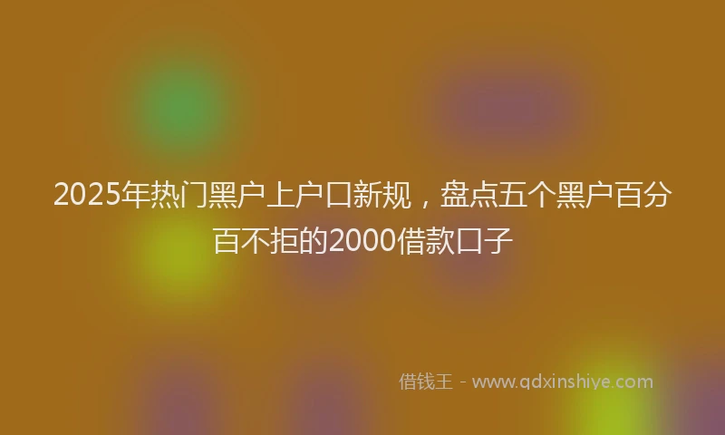 2025年热门黑户上户口新规，盘点五个黑户百分百不拒的2000借款口子