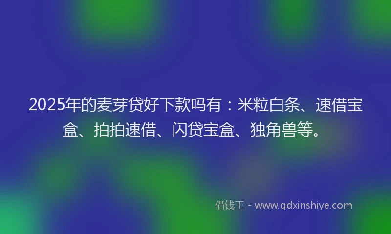 2025年的麦芽贷好下款吗有:米粒白条、速借宝盒、拍拍速借、闪贷宝盒、独角兽等。
