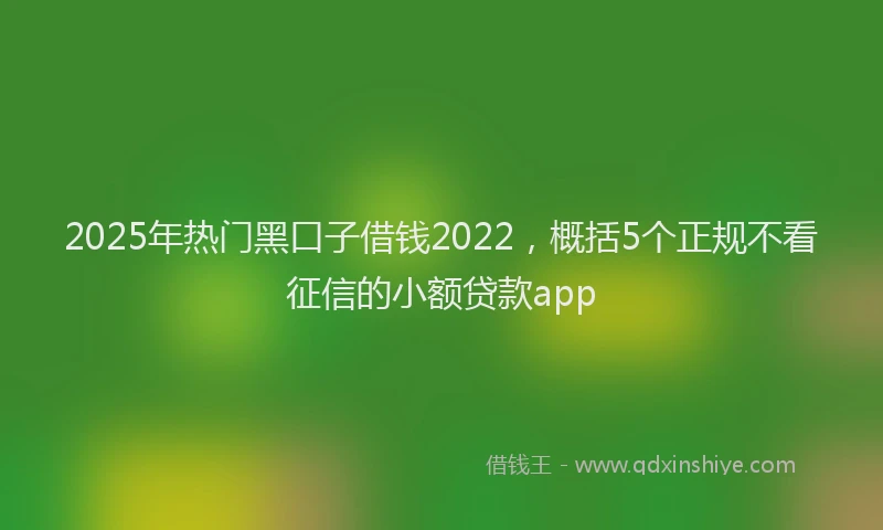 2025年热门黑口子借钱2022,概括5个正规不看征信的小额贷款app