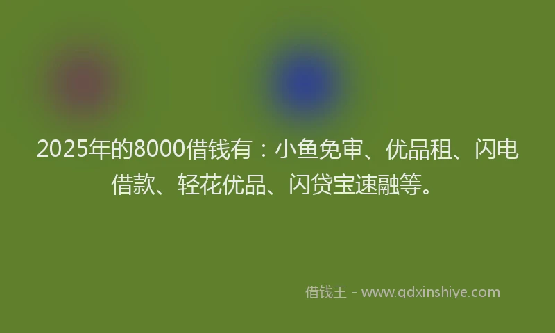 2025年的8000借钱有：小鱼免审、优品租、闪电借款、轻花优品、闪贷宝速融等。