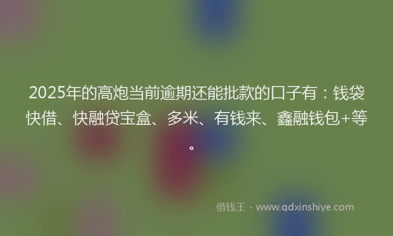 2025年的高炮当前逾期还能批款的口子有：钱袋快借、快融贷宝盒、多米、有钱来、鑫融钱包+等。