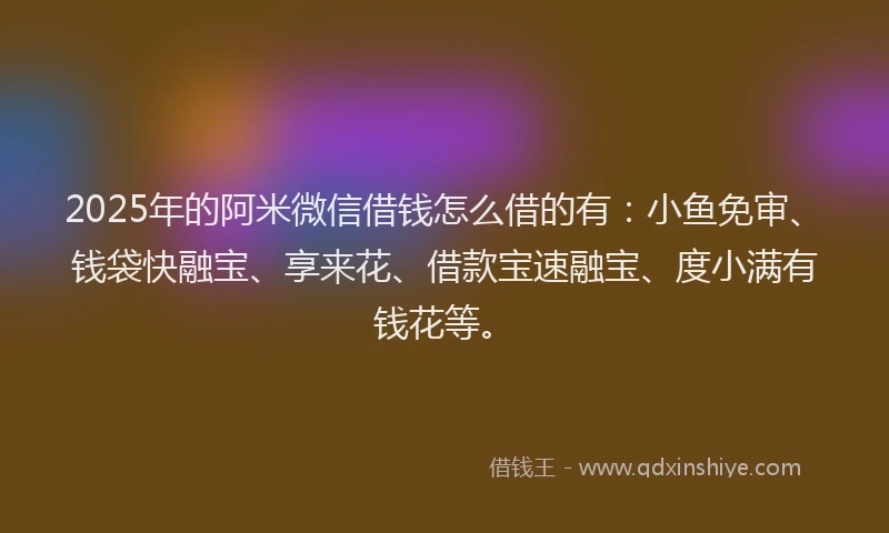 2025年的阿米微信借钱怎么借的有：小鱼免审、钱袋快融宝、享来花、借款宝速融宝、度小满有钱花等。