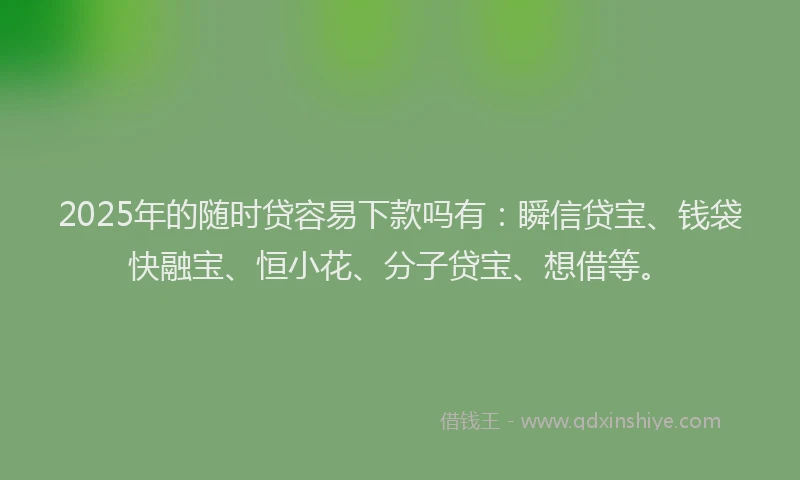 2025年的随时贷容易下款吗有：瞬信贷宝、钱袋快融宝、恒小花、分子贷宝、想借等。