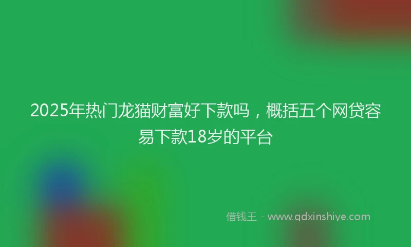 2025年热门龙猫财富好下款吗，概括五个网贷容易下款18岁的平台