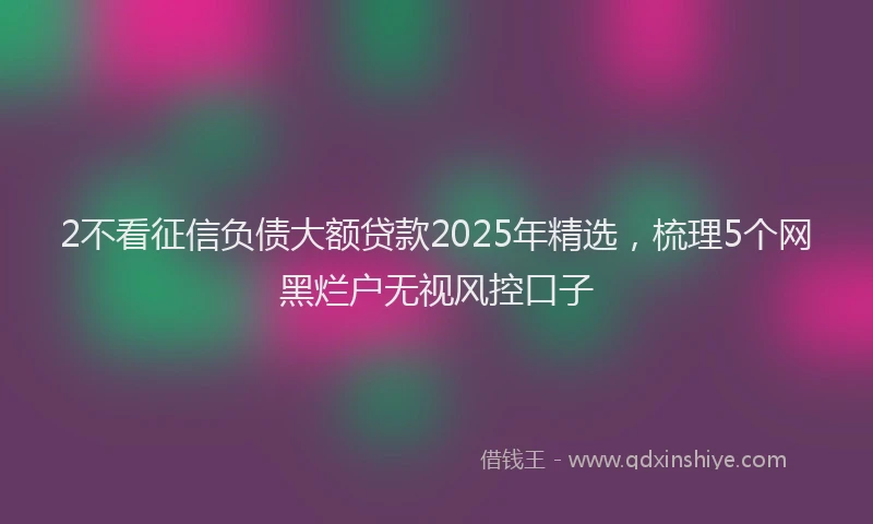2不看征信负债大额贷款2025年精选，梳理5个网黑烂户无视风控口子